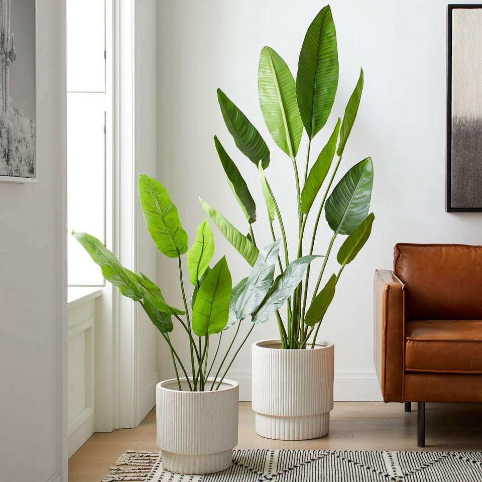 Faux Potted Bird of Paradise Plant West Elm UK